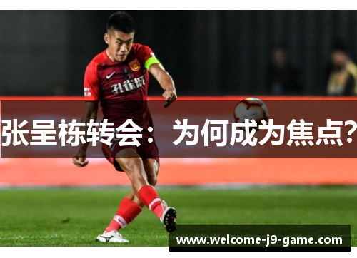 张呈栋转会:为何成为焦点? 张呈栋转会:为何成为焦点?