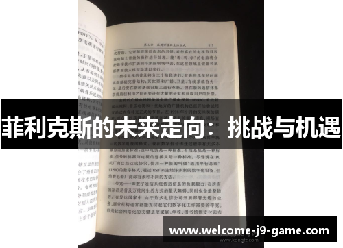 菲利克斯的未来走向:挑战与机遇 菲利克斯的未来走向:挑战与机遇